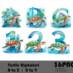 Tortugas Alfabeto PNG Acuarela Océano Diseño Fuente Caretta Alfabeto Tortuga Fuente PNG Archivo