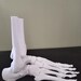 Full-size Anatomical Skeleton right Foot STL File to 3d Print, for ...