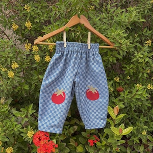 May include: Light blue and white chequered trousers featuring an elasticated waistband and two red tomato appliqués with green stems, one on each leg. The trousers are displayed on a wooden hanger against a background of green foliage and small yellow flowers.