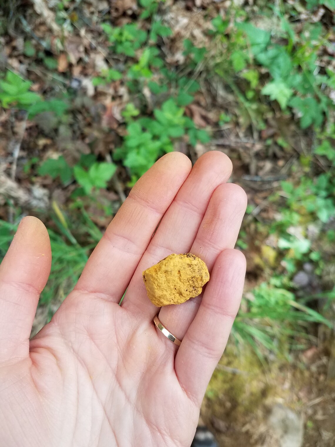 Pigment Foraging and Processing Tutorial DIY Forage Collect Etsy