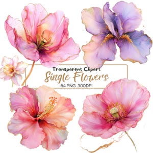 64 PNG PINK en paarse enkele BLOEMEN clip arts (300 dpi, commercieel gebruik, bundel, digitaal, aquarel, alcoholinkt) gouden omtrek