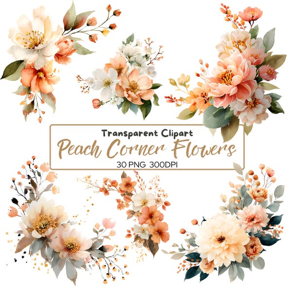 30 PNG  PEACH Color Watercolor Corner Border FLOWERS clip arts, Peach Coral Corner Wedding florals, Watercolor Flower Border, Foliage Pastel