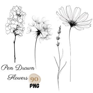 Può includere: Illustrazioni floreali in bianco e nero disegnate a penna. L'immagine presenta una varietà di fiori, tra cui un grappolo di fiori, un dente di leone, lavanda e un fiore simile a una margherita. È incluso anche il testo "Pen Drawn Flowers".