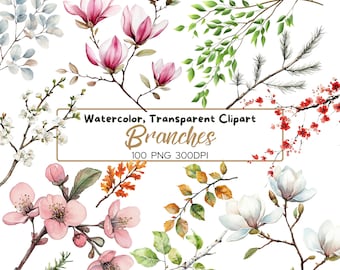 100 PNG Greenery and Floral BRANCHES, clipart, Transparent branches clip art, magnolia, eucalyptus, birch, sublimation, foliage