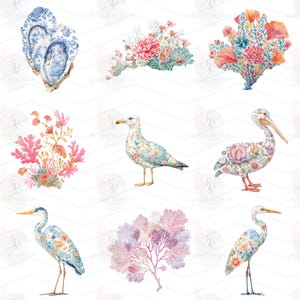 Floral Sea Life Clipart Bundle, Coastal Watercolor Ocean Animals PNG, Nautical Floral Clipart, Jellyfish Crab Lobster Fish Shells, 117 PNG image 16