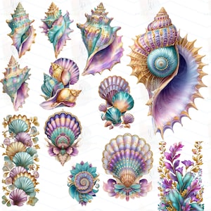 May include: Watercolor illustrations of various seashells in shades of teal, purple, gold, and peach. The image features a collection of detailed, artistic renderings of different shell types, perfect for coastal or nautical themes.
