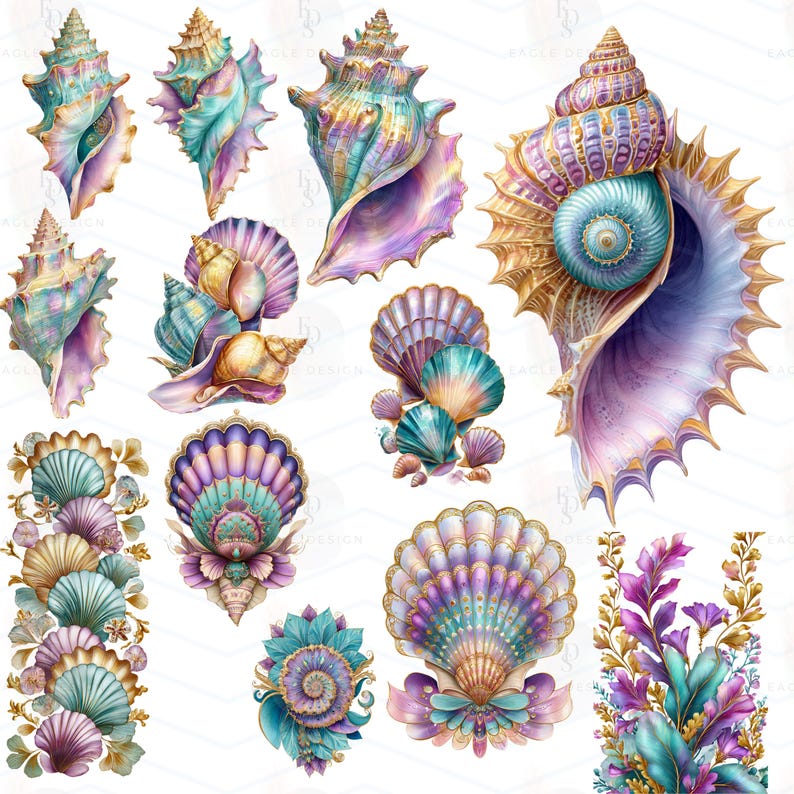 May include: Watercolor illustrations of various seashells in shades of teal, purple, gold, and peach. The image features a collection of detailed, artistic renderings of different shell types, perfect for coastal or nautical themes.