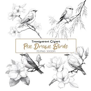 Könnte beinhalten: Schwarz-Weiß-Illustrationen von Vögeln auf blühenden Zweigen, gezeichnet mit einem Stift. Der Text "Transparent Clipart Pen Drawn Birds 70 PNG 300DPI" ist ebenfalls enthalten. Die Zeichnungen sind detailliert und anmutig.