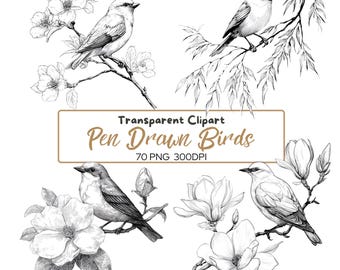 70 PNG Pen Drawn Floral BIRDS Clipart Bundle, Birds On Floral Branch Clipart, Illustrations Designs, Spring Birds, Blossom, Digital Download