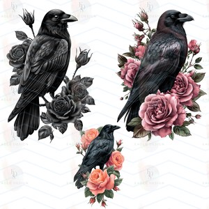 May include: Three digital illustrations of black ravens with roses. One raven is surrounded by black roses, another by pink roses, and the third by peach-coloured roses. The background is white with a subtle chevron pattern.