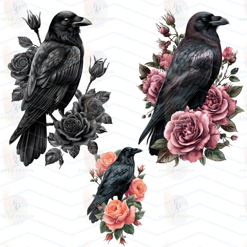 Gothic Raven & Roses Clipart: Dark Romantic PNG Illustrations (digital ...