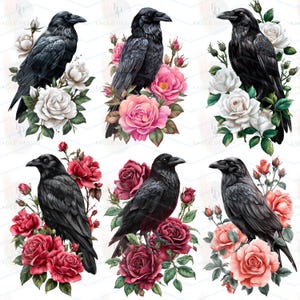 May include: Digital artwork showing six black ravens surrounded by roses in shades of white, pink, and red, with green leaves. The illustrations have a detailed, painterly style, ideal for gothic or floral-themed designs. The image has the text "EAGLE DESIGN".