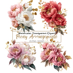Może przedstawiać: Akwarelowe cliparty z aranżacjami piwonii w odcieniach różu, czerwieni i bieli, ze złotymi akcentami i zielonymi liśćmi. Tekst "Watercolor, Transparent Clipart Peony Arrangements" jest wyświetlany w złotej ramce. 25 plików PNG w 300 DPI.