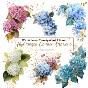 May include: Watercolor clipart featuring hydrangea corner flowers in shades of pink, blue, and white. The image includes gold accents and the text "Watercolor, Transparent Clipart Hydrangea Corner Flowers 30 PNG 300DPI".