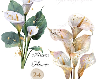 Op de afbeelding: Waterverfillustratie van aronskelkbloemen met witte bloemblaadjes, gouden accenten en groene bladeren. De afbeelding bevat de tekst "Arum Flower" en "24 PNG". De bloemen zijn gerangschikt in een boeketstijl, perfect voor digitale kunstprojecten.