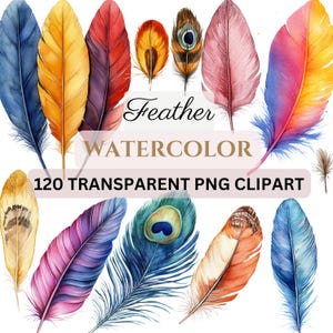 120 PNG FEATHER Transparentne akwarelowe kliparty (300 dpi, do użytku komercyjnego, pakiet, cyfrowe transparentne, akwarela)