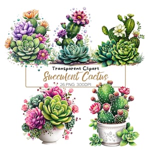 Paquete de 26 imágenes prediseñadas de cactus suculentos PNG / Gráficos florales transparentes / Cactus de acuarela, vegetación y plantas del desierto para diseño de sublimación