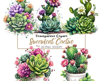 Bundle de cliparts aquarelle cactus : succulentes images PNG (téléchargement numérique)