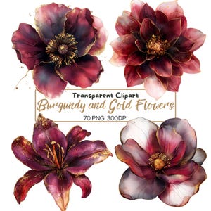 70 PNG BOURGOGNE et clipart fleurs simples dorés (300 dpi, usage commercial, lot, numérique, aquarelle, encre à alcool) contour doré