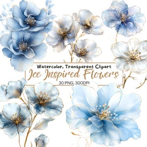 30 PNG FLORES DE INVIERNO y acuarela dorada, clip arts, flores inspiradas en hielo y nieve, flores transparentes, azules y blancas, contorno dorado