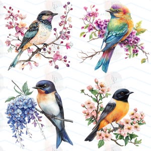May include: Watercolor illustrations of four colorful birds perched on flowering branches. Each bird features unique plumage, with hues of blue, orange, yellow, and purple. The branches display pink and purple blossoms, set against a white background.