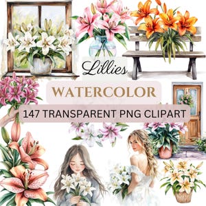 May include: Watercolor illustrations of lilies in various colors and arrangements. The illustrations include lilies in a vase, lilies in a window, lilies on a bench, lilies in a pot, and lilies held by a woman. The text "Lillies Watercolor 147 Transparent PNG Clipart" is also included in the image.