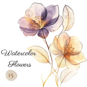 15 PNG-transparante bloem clip arts, gouden omtrek (300 dpi, commercieel gebruik, bundel, digitaal transparant, aquarel, alcoholinkt)