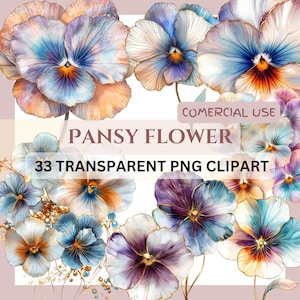 33 PNG WATERCOLOR Pansy Flower clip arts (300 dpi, commercial use, bundle, digital transparent, floral, wedding elements) golden outline