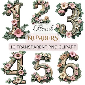 10 PNG, beleuchtete Zahlen Bundle-Karte Clipart, Blumenzahlen Clipart, kommerzielle Nutzung, digitaler Download (300 dpi), elegante Einladungen