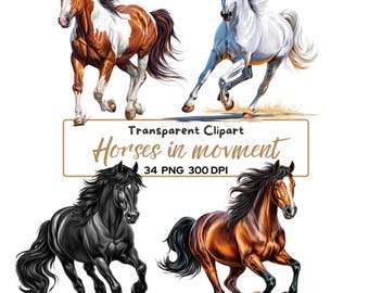 Paquete de 34 imágenes PNG de caballos corriendo, caballos en movimiento, descarga digital ecuestre, ilustración realista de caballos, imágenes prediseñadas de animales de granja.