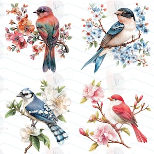May include: Watercolor illustrations of four colorful birds perched on flowering branches. Each bird features a unique plumage of red, blue, and teal hues, complemented by delicate blossoms in shades of pink, white, and blue. The artwork has a soft, artistic style.