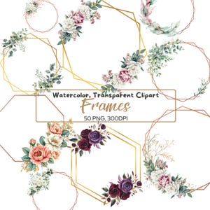 50 png groen bloemenframes, clipart, transparante gouden frames, takken, eucalyptus, zeshoek framesublimatie, gebladerte, groene rand