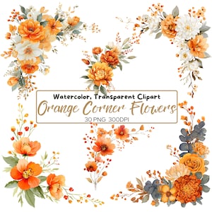 Puede incluir: Clipart de acuarela con flores de esquina naranjas en varios arreglos. La imagen incluye el texto: "Watercolor, Transparent Clipart Orange Corner Flowers 30 PNG 300DPI". Las flores son en tonos naranja, blanco y amarillo.