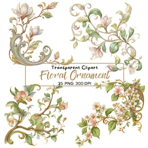 35 PNG Baroque Floral Ornament Clipart, Vintage Rococo Botanical Scrolls, Elegant Floral Flourish, Ornate Decorative Elements Elderflower
