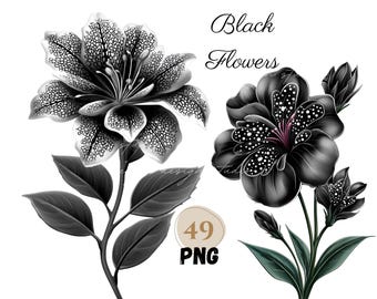 Paquete de 49 imágenes prediseñadas PNG de flores de encaje negro, elegantes flores oscuras, imágenes prediseñadas de flores góticas, botánica monocromática, flor negra vintage