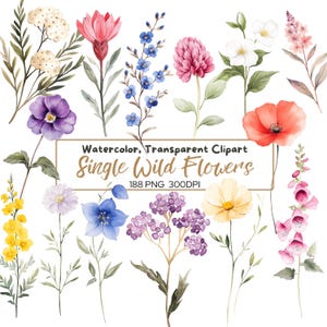 188 PNG Wildflowers Single Flower Watercolor Clipart, Pobieranie cyfrowe, Clipart do druku, Rękodzieło papierowe, Jakość PNG, Dziennik śmieci
