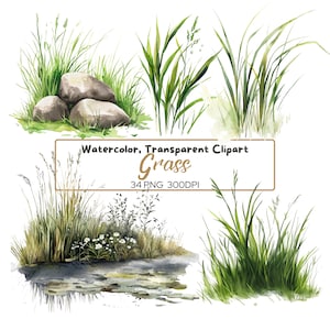 34 PNG GRASS Cliparty akwarelowe (300 dpi, do użytku komercyjnego, pakiet, cyfrowe, ilustracja) Zielona granica trawy, kamienie i trawa
