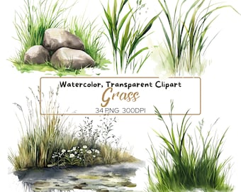 34 PNG GRASS Watercolor clip arts (300 dpi, commercial use, bundle, digital, illustration) Green grass border, stones and grass