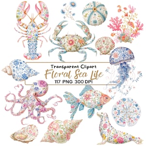 Floral Sea Life Clipart-Bundle, Küsten Aquarell Ozeantiere PNG, Nautische Blumen Clipart, Qualle Krabbe Hummer Fischmuscheln, 117 PNG