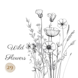29 png-wildflower tekeningen zwart-wit clipart, digitale download, afdrukbare aquarel clipart, Paper Craft, kwaliteit JPG, Junk Journal