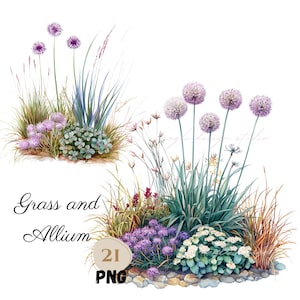 Peut inclure: Illustration à l'aquarelle d'herbes et de fleurs d'ail. L'image présente deux compositions de fleurs d'ail violettes, de feuillage vert et bleu-vert et diverses herbes. Le texte "Grass and Allium" et "21 PNG" sont également inclus.