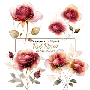 25 PNG RED and Gold ROSES clip arts (300 dpi, do użytku komercyjnego, pakiet, cyfrowy, akwarela, tusz alkoholowy) złoty kontur, kwiaty, kwiatowy