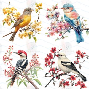 May include: Four watercolor illustrations of birds perched on flowering branches. The birds feature a variety of colors, including yellow, blue, red, and white. The flowers are in shades of yellow, pink, and red, set against a white background.