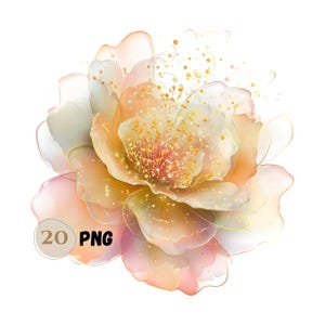 24 PNG ピーチカラー抽象的な水彩画の花のクリップアート、オレンジ色のパステルカラーの花、ファンタジーの花、花の結婚式の装飾、パステルカラーの花
