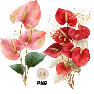 Anthurium Wallpaper - Etsy