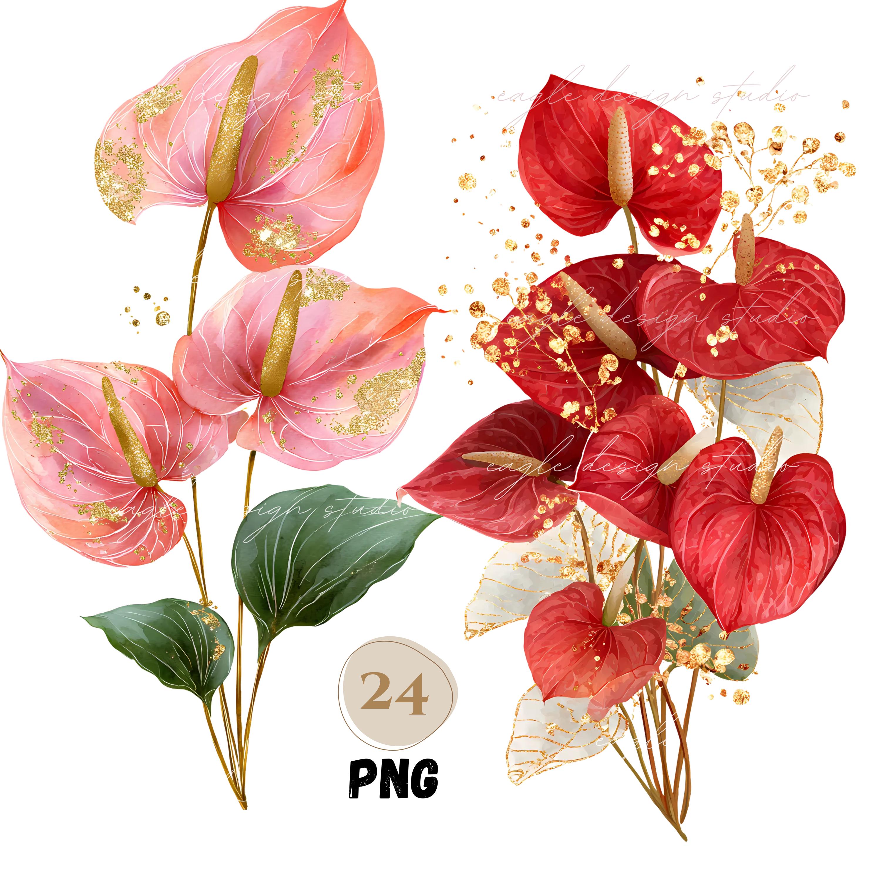 Watercolor Anthurium Flower Clipart Bundle: Red & Pink Tropical Pngs  (digital Download) - Etsy
