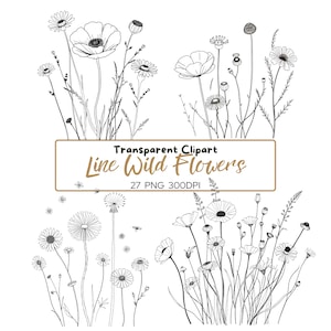 27 dessins de fleurs sauvages PNG, clipart noir et blanc, téléchargement numérique, clipart aquarelle imprimable, créations en papier, JPG de qualité, journal indésirable
