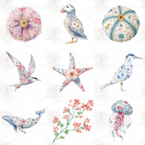 May include: A collection of watercolor illustrations featuring marine life and coastal birds, including a sea urchin, a puffin, a starfish, a whale, a jellyfish, and coral, all decorated with intricate floral patterns in shades of blue, pink, and green.