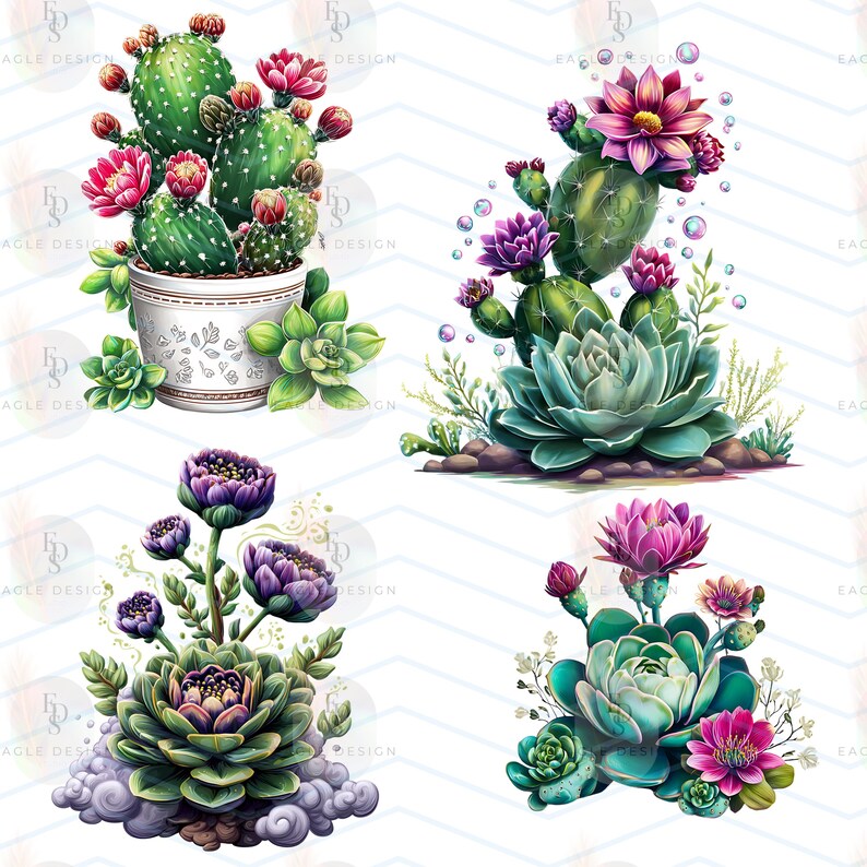 Watercolor Cactus Clipart Bundle: Succulent PNG Graphics (digital ...