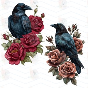 May include: Two illustrations of ravens with roses. One raven is surrounded by deep red roses, the other by muted brown roses. The ravens have dark blue-black feathers and black beaks. The background is white with a subtle chevron pattern.